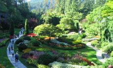 Butchart Gardens sunken garden