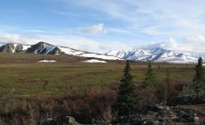 Flat Top Mountain u NP Denali