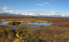 Denali Hwy