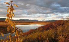 Denali Hwy