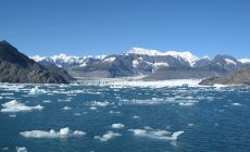 Projížďka v Kenai fjords z Valdez