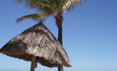 Venezuela, Isla Margarita - idylka na pláži
