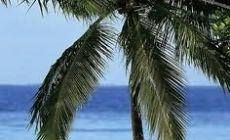 Meedhupparu Island