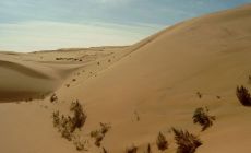 poušť Gobi
