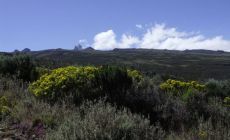 Mount Kenya - trasa Sirimon