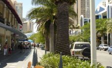 Surfers paradise