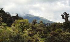 Turrialba