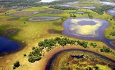 Nejkrásnější bažina světa (Pantanal, Brazílie)