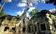 Ta Prohm