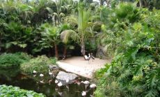 Loro parque