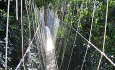 Canopy walk, Taman Negara