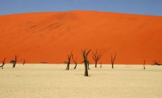 Namíbie - Dead Vlei