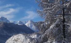 Kranjska Gora