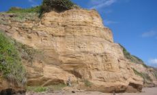 Mayaro Coast - Trinidad