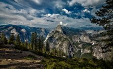 Yosemite NP