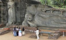 Buddha
