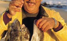 Rybolov v Kapském městě