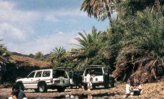 Spojené arabské emiráty