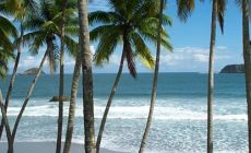Nicoya