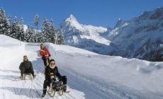 Grindelwald