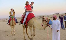 Fujairah jízda na velbloudu