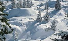 Bormio