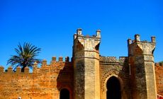 (bez názvu)