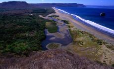 Nicoya