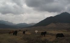 Phobjika Valley