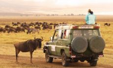 cestou ke kráteru Ngorongoro Crater