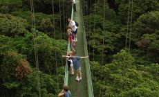 Přírodní rezervace Monteverde