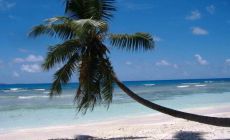 Seychelly