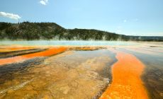 Yellowstone