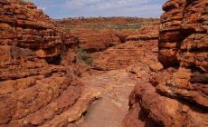 NP Watarrka