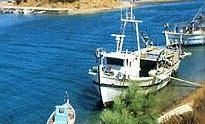 portidea