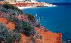 Shark Bay