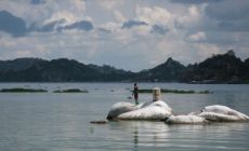 jezero Victoria, Mwanza