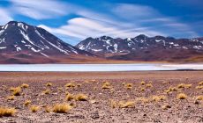 Chile – Poušť Atacama