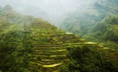 Banaue – UNESCO rýžové terasy