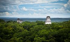 Tikal, májské ruiny