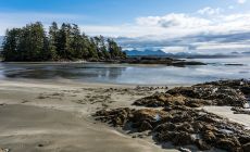 Tofino - pláž 