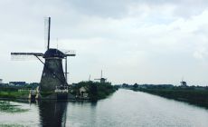 Kinderdijk v blízkosti Rotterdamu