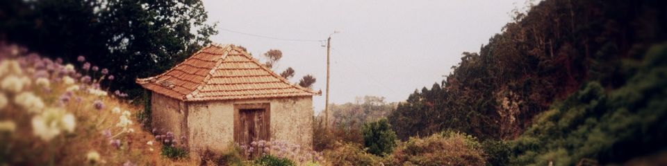 Článek
